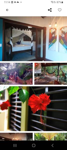 casa ibiscus